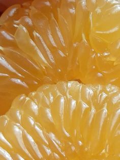 close up view of the inside of an orange