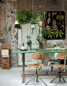 an image of a table and chairs with potted plants on the wall behind it