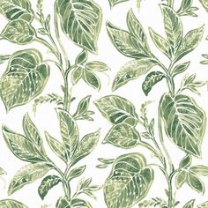 a green and white wallpaper with leaves on it