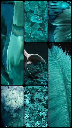 many different images of blue and green feathers