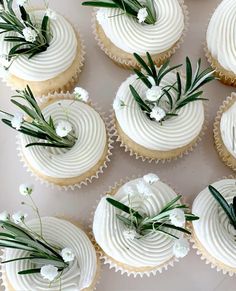 cupcakes decorated with white frosting and fresh greenery are arranged in rows