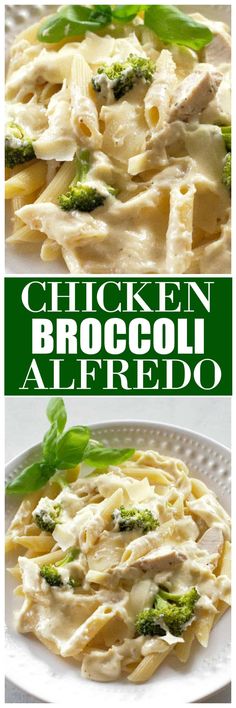 chicken broccoli alfredo on a white plate