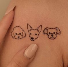 three small dogs on the side of a woman's stomach, with one dog in between them