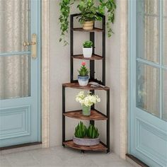 a corner shelf filled with potted plants next to a door