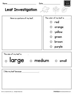 worksheet for the letter l with pictures and words