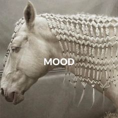 a white horse with braided manes standing in front of a gray background and the words mood written on it