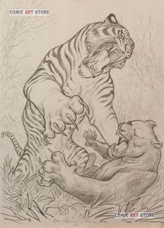 a pencil drawing of a tiger attacking another animal