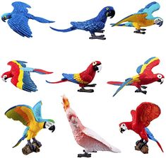 several colorful parrots are flying in the air