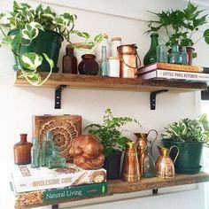 some shelves with plants and books on them