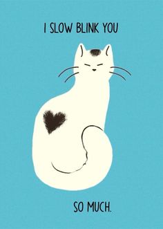 a black and white cat sitting on top of a blue background with the words i slow blink you so much