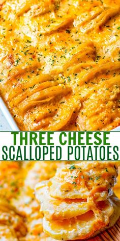 three cheese scalloped potatoes in a casserole dish with text overlay