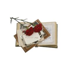 red roses are placed on top of an old photo album with the word love written on it