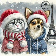 two dogs and a cat wearing winter clothes in front of the eiffel tower