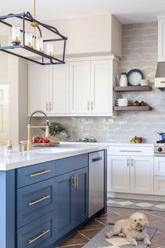 a dog laying on the kitchen floor in front of an island with blue and white cabinets