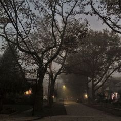 the street is lined with trees on a foggy night in this residential area at dusk