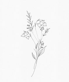 a drawing of some flowers on a white paper