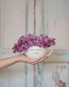 a person holding a cup with purple flowers in it