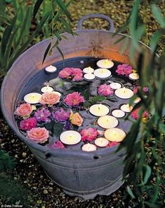 candles are floating in a bucket filled with water and pink flowers on the bottom, surrounded by greenery