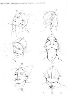 sketches of different faces and head shapes for the character's face, from left to right