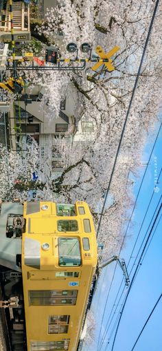 a yellow train traveling down tracks next to trees with white flowers on them and power lines in the background