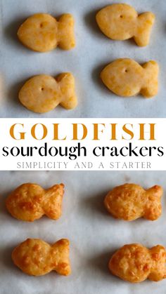 goldfish sourdough crackers on a baking sheet with the words, goldfish sourdough crackers simplily and as starter