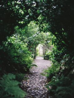 an image of a path through the woods with trees and bushes on either side that leads to a door