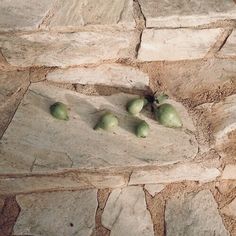 four green apples sitting on top of a stone floor