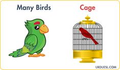 a green bird sitting on top of a cage next to a red and white arrow