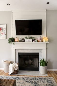 a living room with a fireplace, television and plants on top of the mantel