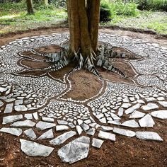 a tree in the middle of a stone circle