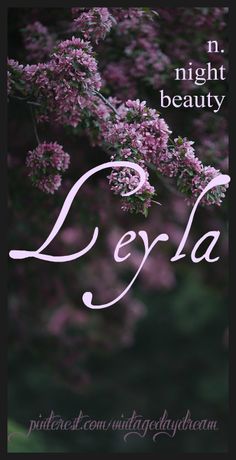 the words jella are written in white on a black background with pink flowers and green leaves