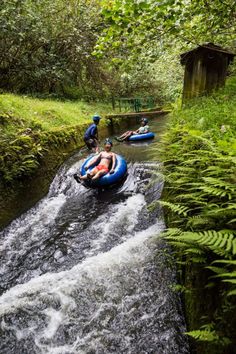 two people on rafts in the middle of a river with green plants and trees