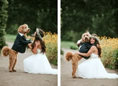 a bride and groom are hugging their poodle dog in the middle of a road