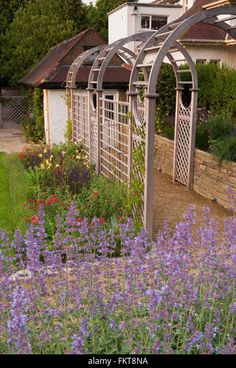 a garden with purple flowers in front of a white house