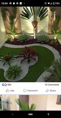 an image of a small garden in the middle of a room