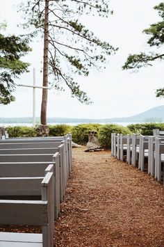 rows of pews are lined up along the path