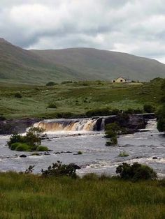 there is a horse that is standing in the water by some rocks and grass with mountains in the background