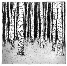 black and white drawing of trees in the woods