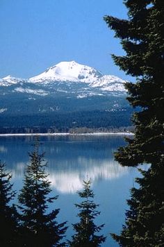 the mountain is covered in snow and surrounded by pine trees, as seen from across the lake