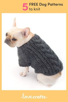 a small dog wearing a sweater with text overlay that says, 5 free dog patterns to knit