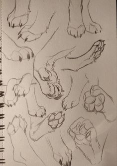 several drawings of hands and feet on paper