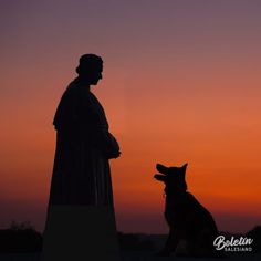 a dog sitting next to a statue with a person in the background at sunset or dawn