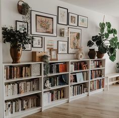 there are many bookshelves with plants on them in the living room, and one is empty