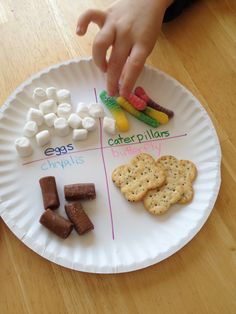 a paper plate with marshmallows and crackers on it