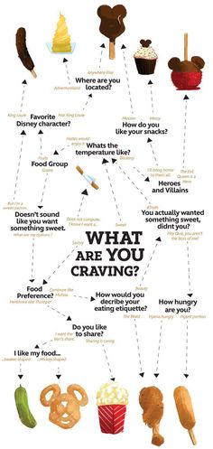 an info sheet describing the different types of food and what they are in each section