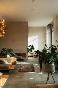 a living room filled with lots of furniture and plants