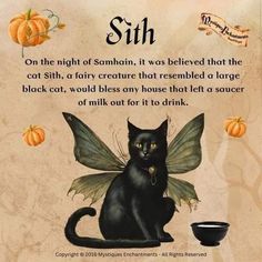 Cat Spells Witches, Magical Cat Art, Samhain Halloween, Wiccan Magic, Witchy Crafts