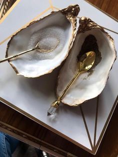 two open oysters on a white plate with a gold spoon