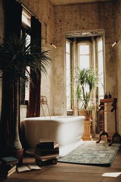 a bath tub sitting next to a potted plant in a room filled with windows