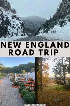 THE BEST NEW ENGLAND ROAD TRIP 7 Day New England Road Trip, New England Day Trips, New England In The Fall, England In The Fall, Cheap Countries To Travel, Cape Cod Travel, England Road Trip, England Winter, Vacation Wishes